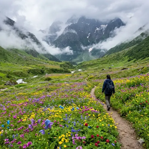 Valley Of Flowers Tour Package