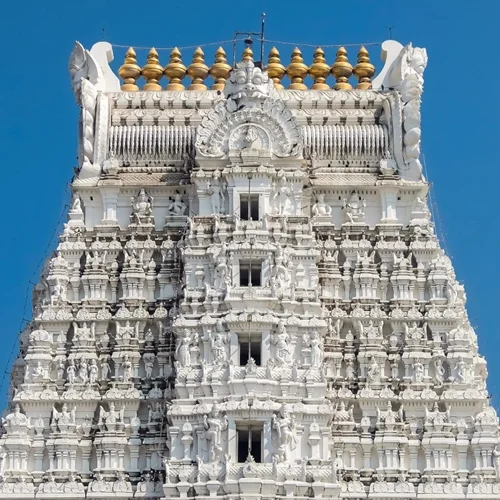 tirupati balaji darshan tour packages
