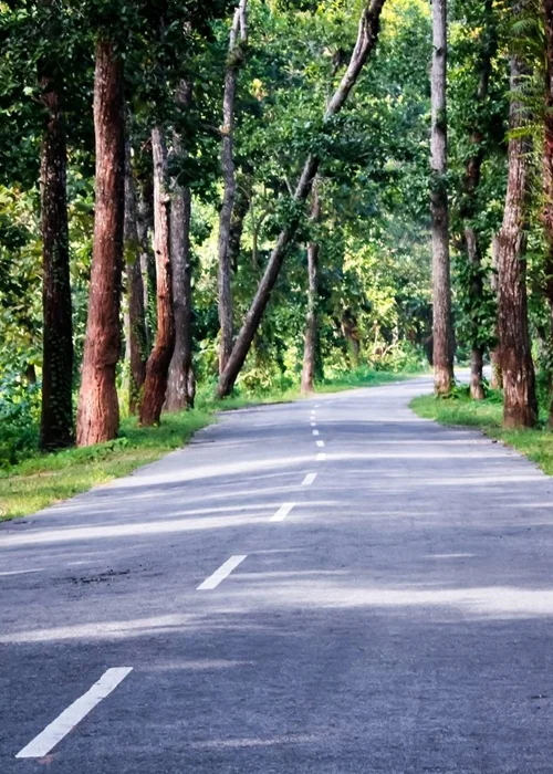 Bihu festival travel package Assam