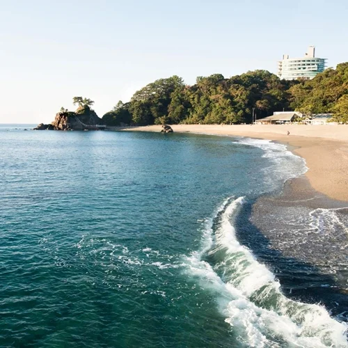 best kochi tour packages for family, couple and group