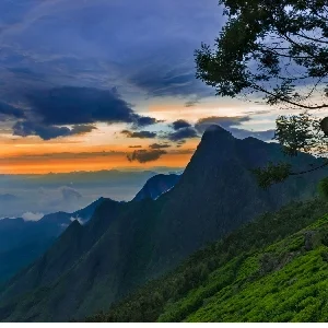 Thumbnail of Scenic Mountains in Munnar