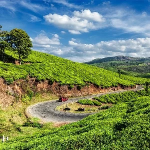 Thumbnail of Valley Landscape in Munnar