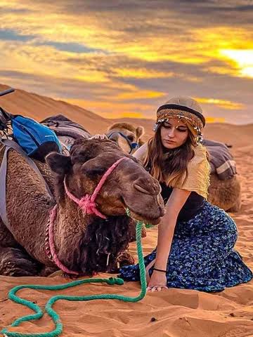 Royal Rajasthan Tour Packages