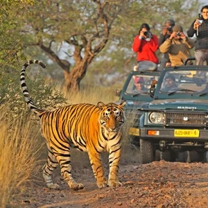 Jaipur Ranthambore Pushkar Tour Package